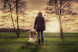Herbst Spaziergang mit Hund